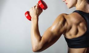come perdere peso andando in palestra come perdere peso andando in palestra